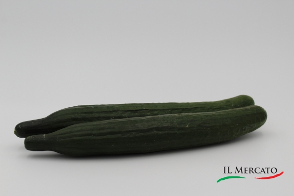 Gurke - 1 Stück